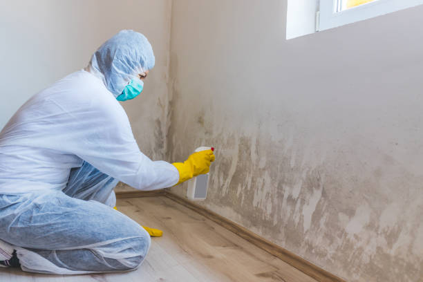 Mold Documentation for Insurance Claims